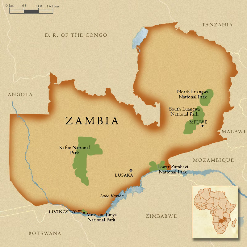 Zambia Elephant Head - A set of two
